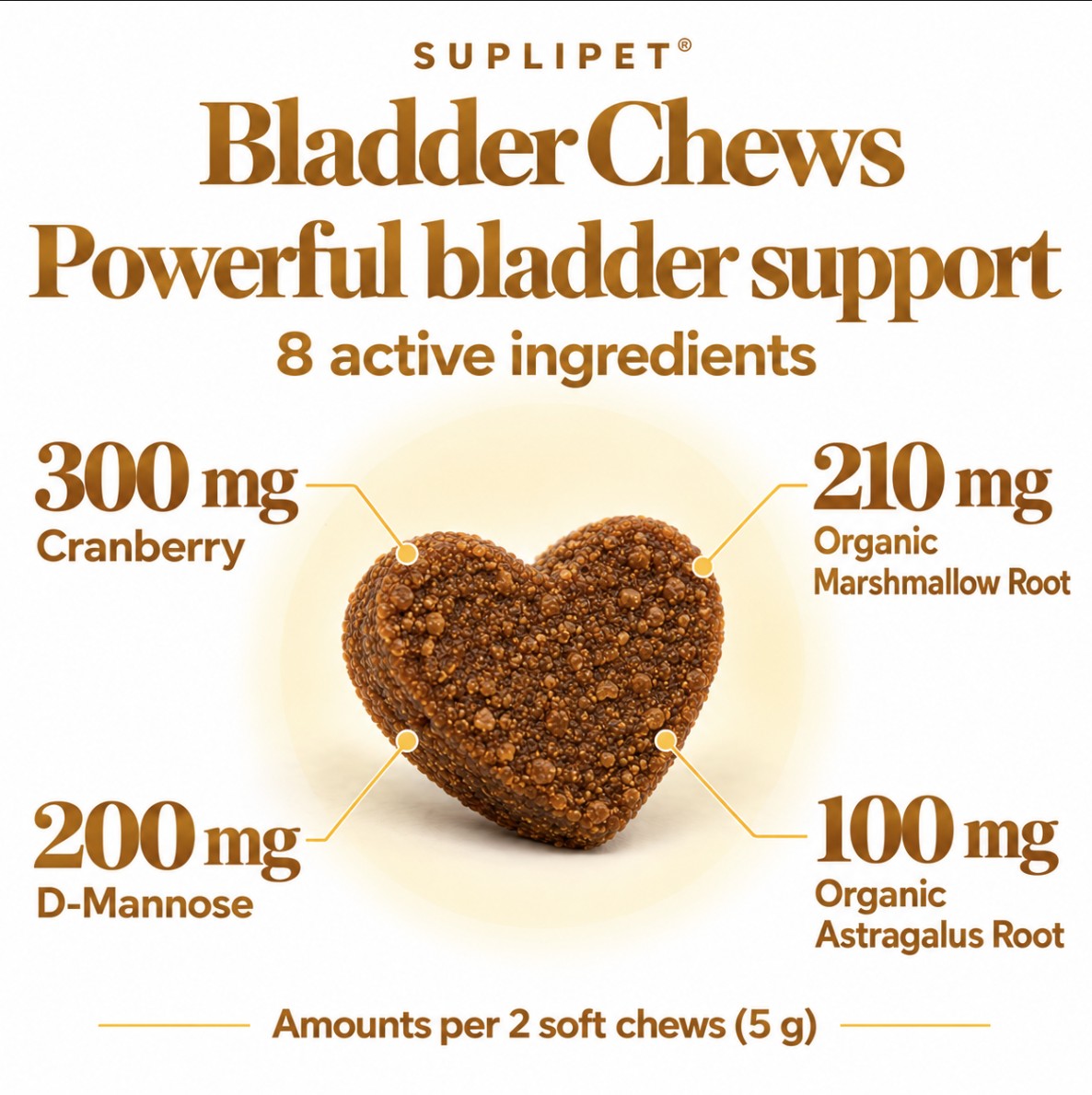 Bladder Support