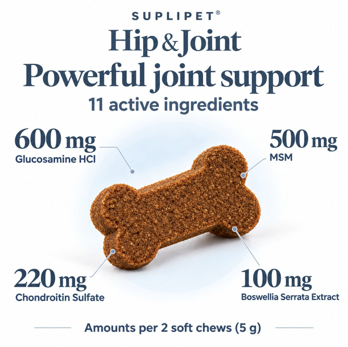 Hip & Joint Support
