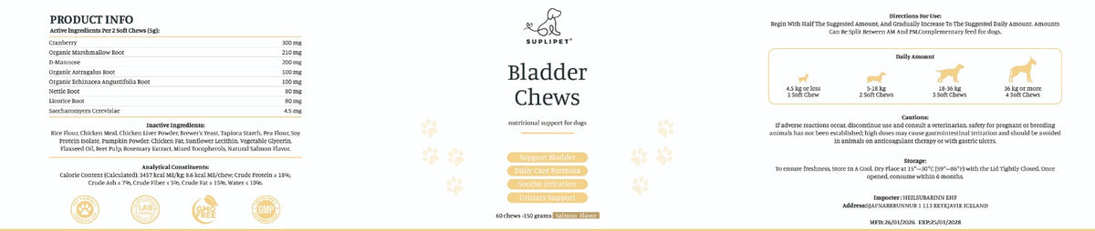 Bladder Support