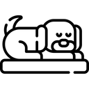 <p>Frequent urination & accidents appear</p>
