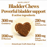 Bladder Support