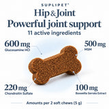 Hip & Joint Support