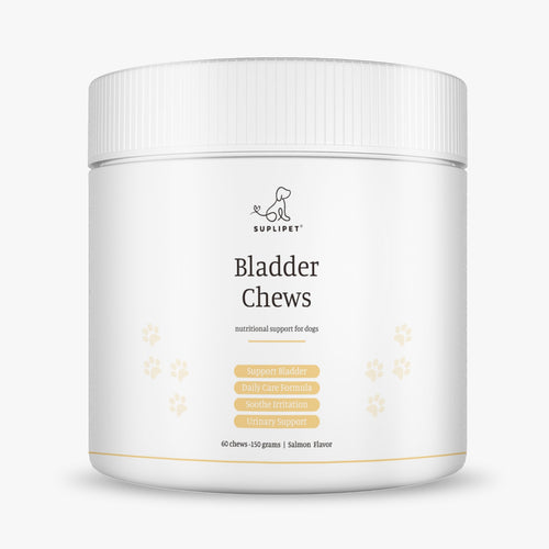 Bladder Support