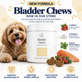 Bladder Support