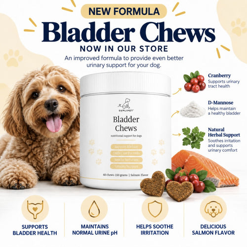 Bladder Support