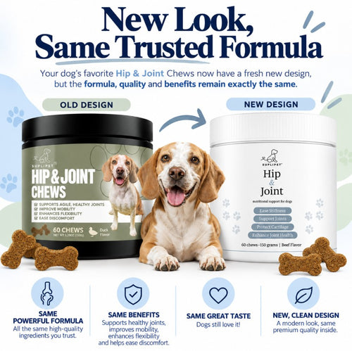 Hip & Joint Support