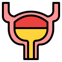 <p>Supports bladder control</p>