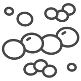 Saccharomyces Cerevisiae