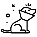 <p>Irritation & inflammation occur</p>