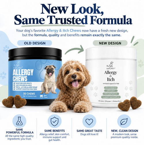 Allergy Support
